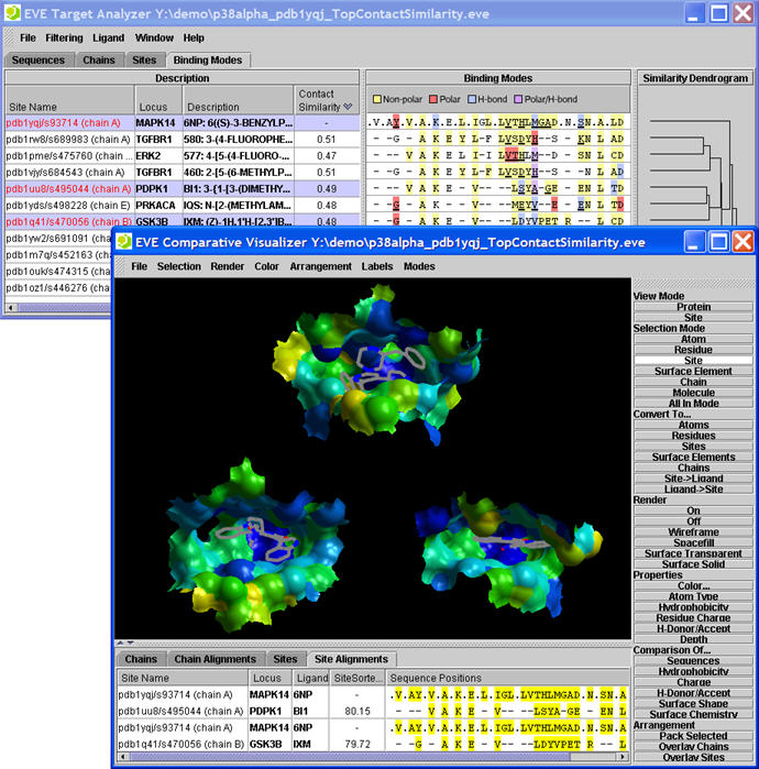 Eidogen Visualization Environment