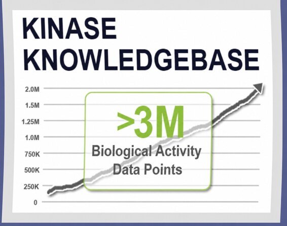 Kinase Knowledgebase Interface
