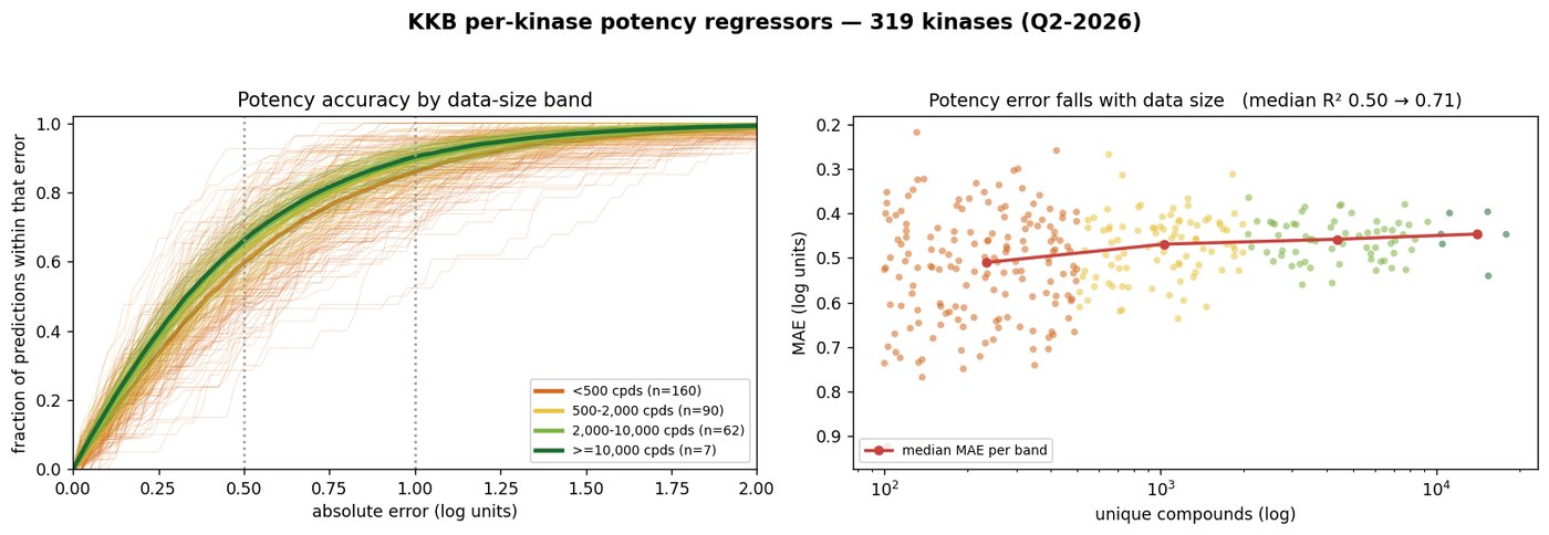 KKB per-kinase potency regressors