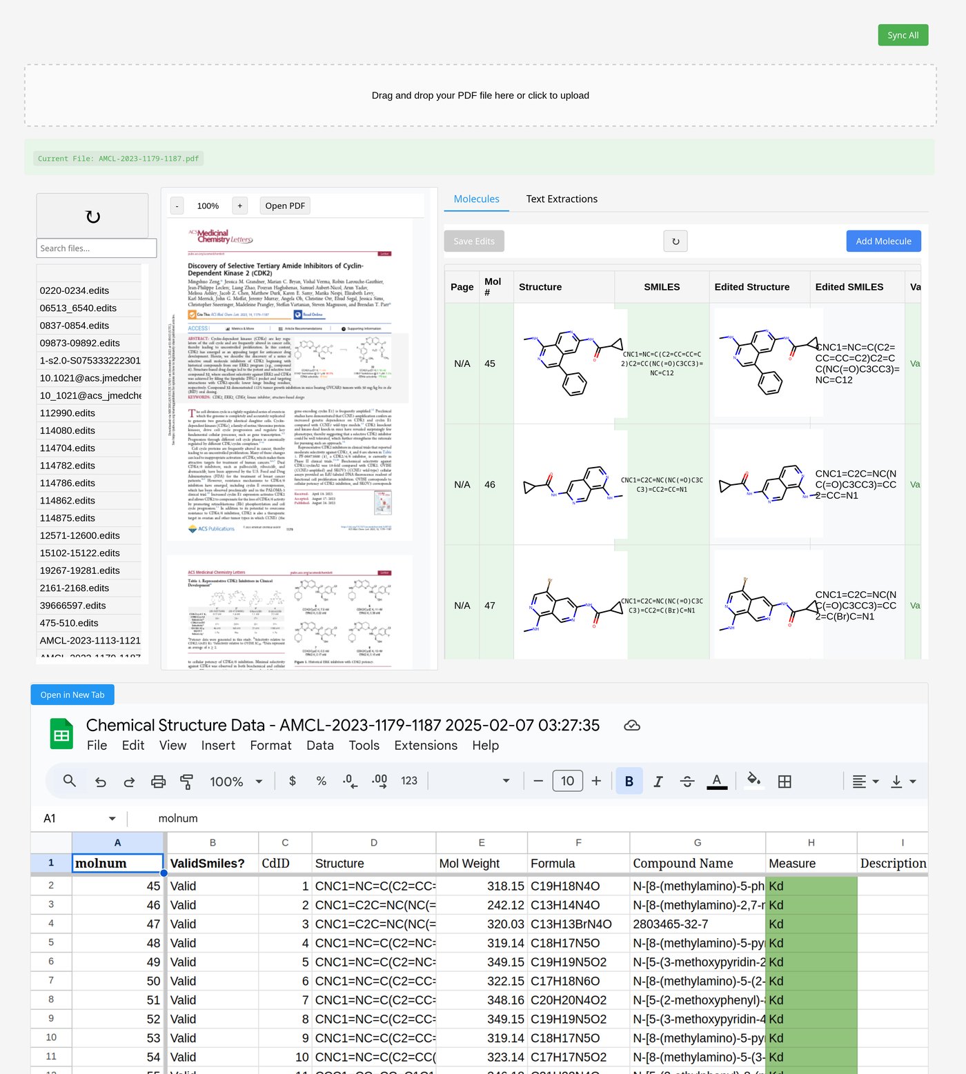 PDF Processing Workflow