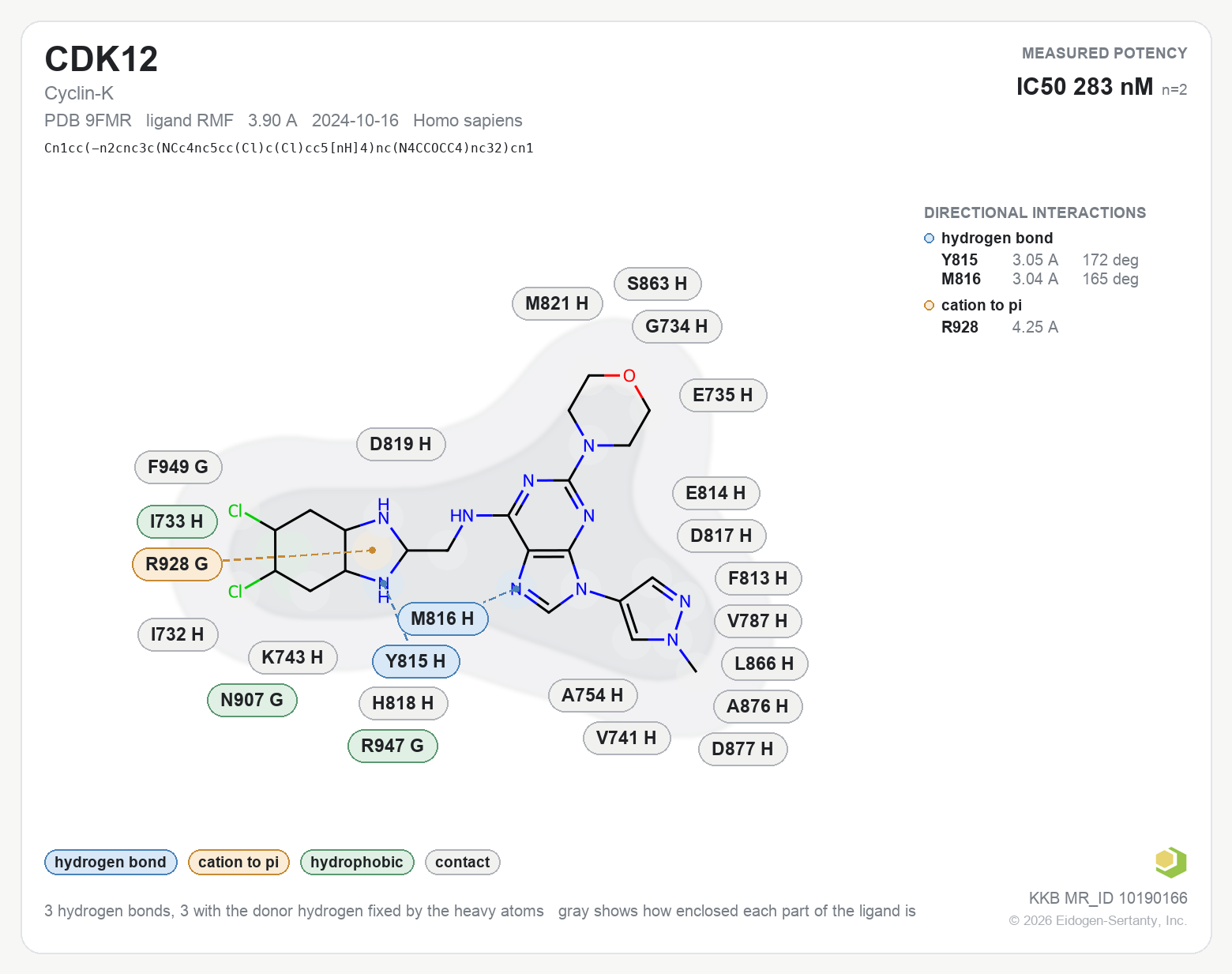 Contact map for CDK12 with ligand RMF from PDB entry 9FMR, IC50 283 nM in the Kinase Knowledgebase, showing the measured interactions on the flat structure